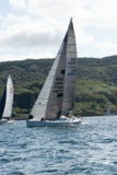 pippa vi gbr6006c whyw22 sun 800_1943yi